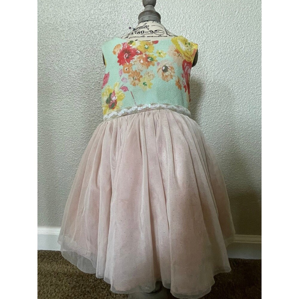 Sweet Heart Rose Dress / Size 2T